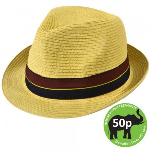 straw-trilby-hat-with-blue-and-red-band-3532-0-1371824603000